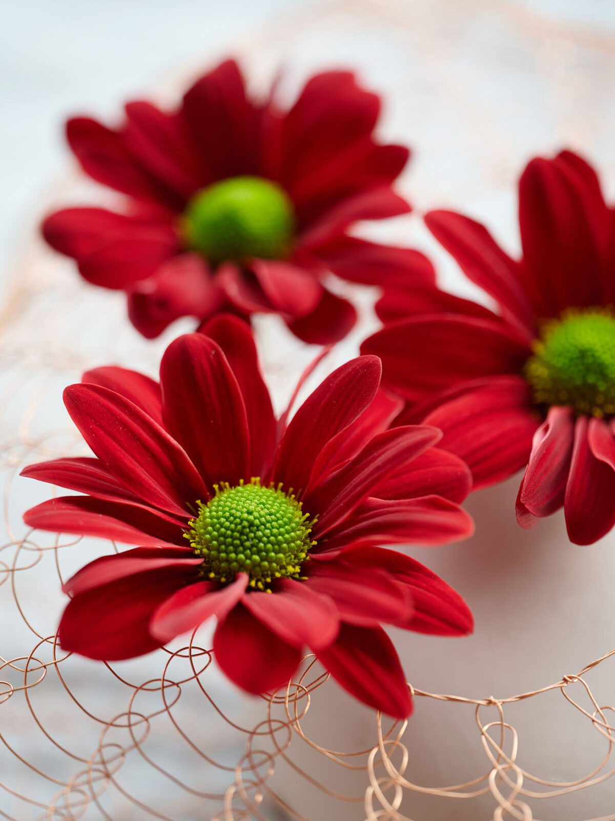 Laat Chrysant Bontempi schitteren in Valentijnsboeketten