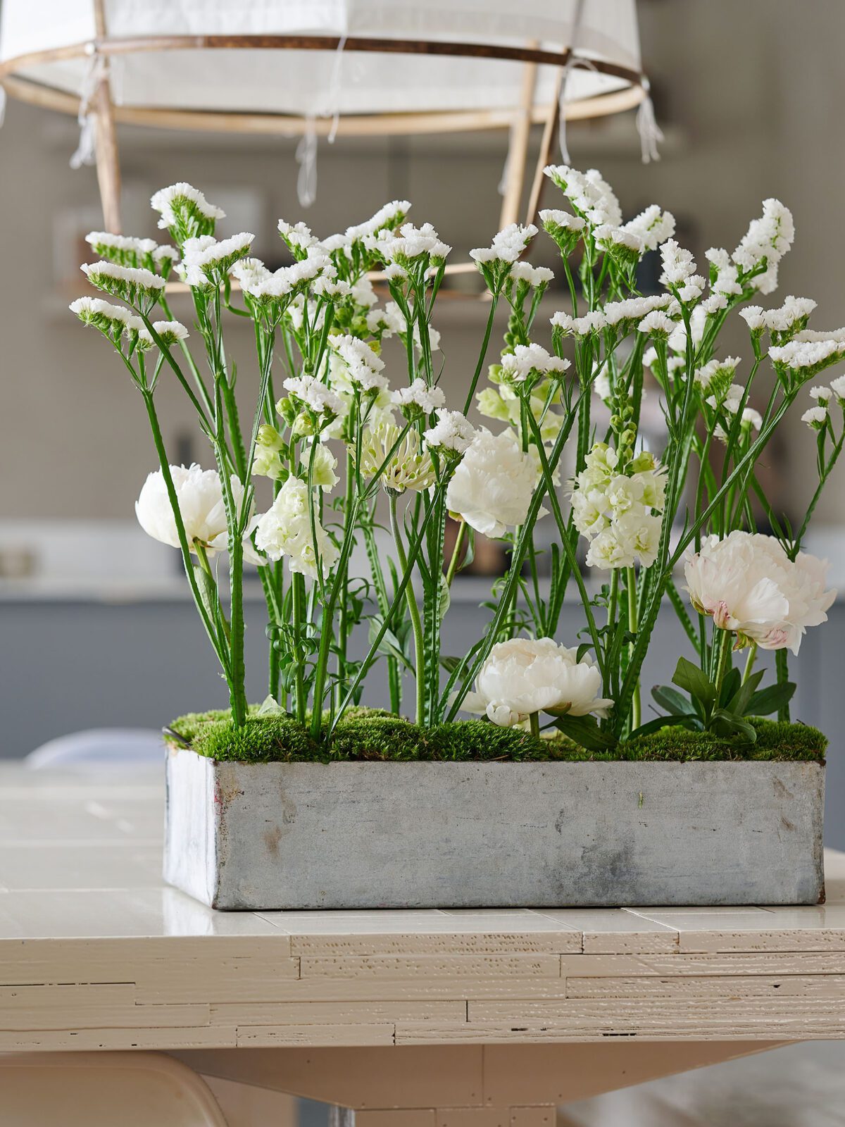 Welcome spring with fresh colours